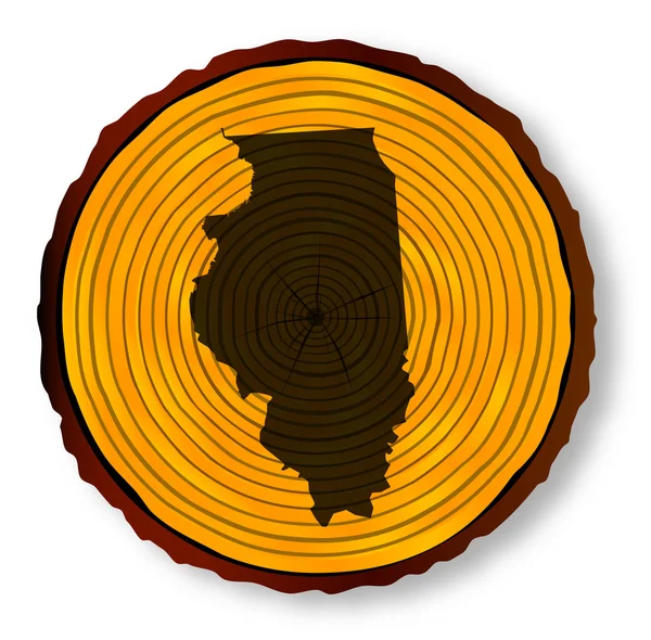 Illinois Map On Timber — Stock Vector
