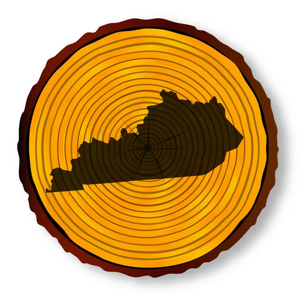 Kentucky Map On Timber — Stock Vector