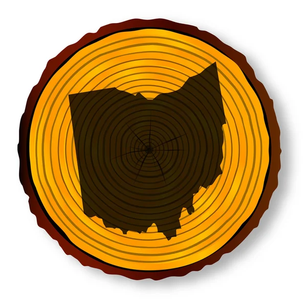 Карта Огайо на древесине — стоковый вектор