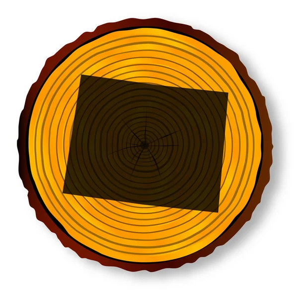 Carte du Wyoming sur bois — Image vectorielle