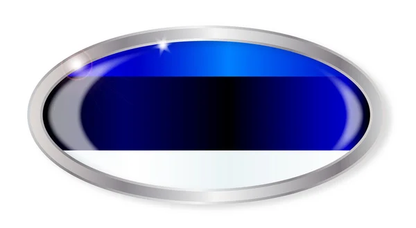 Estonia Flag Oval Button — Stock Vector