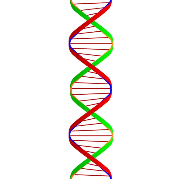 Spirale doppia del DNA — Vettoriale Stock