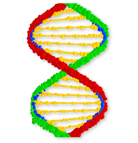 Twin DNA Strands — Stock Vector