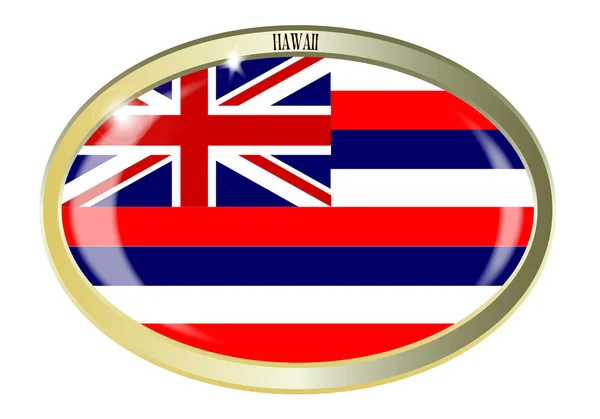 Hawaii staat vlag ovale knop — Stockvector