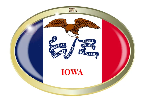 Botón oval de la bandera del estado de Iowa — Archivo Imágenes Vectoriales