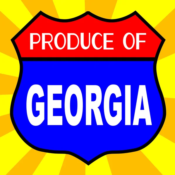 Producto de Georgia Shield — Vector de stock