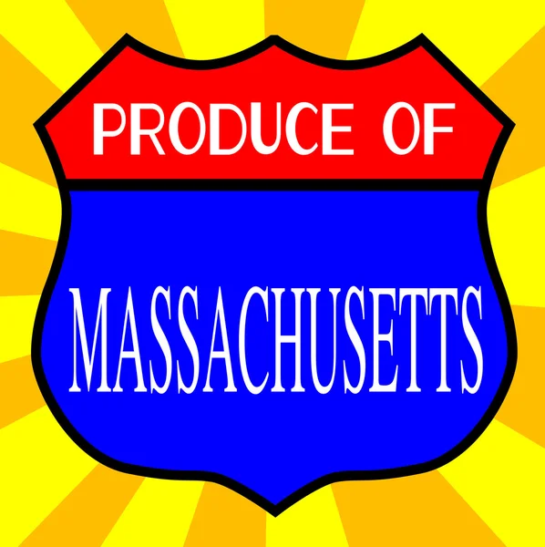 Produci dello scudo del Massachusetts — Vettoriale Stock