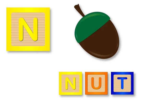 N Is voor Nut — Stockvector