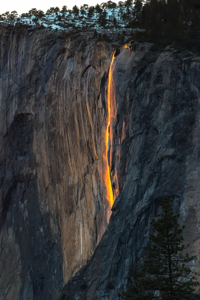 Firefall в національному парку Йосеміті, США — стокове фото