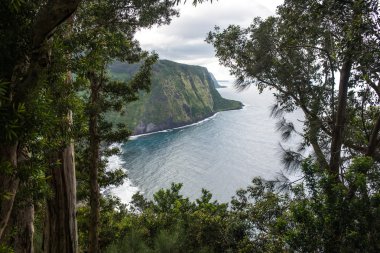 Waipio valley lookout  clipart