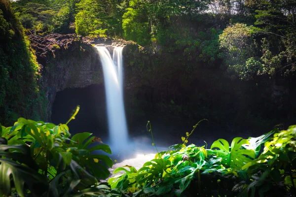 Rainbow vízesés Hawaii — Stock Fotó