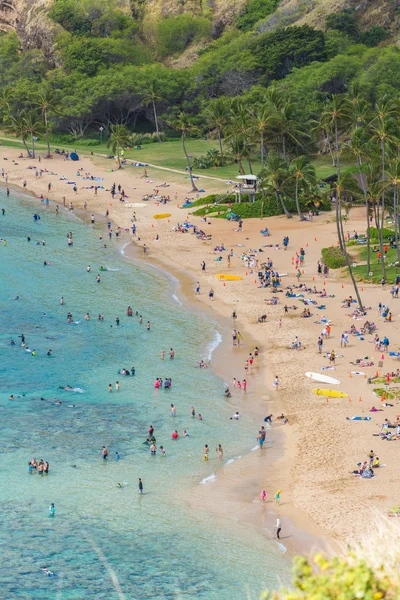 Hanauma Bay Hawaï — Photo