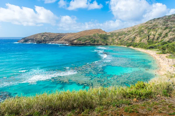 Baía de Hanauma Havaí — Fotografia de Stock