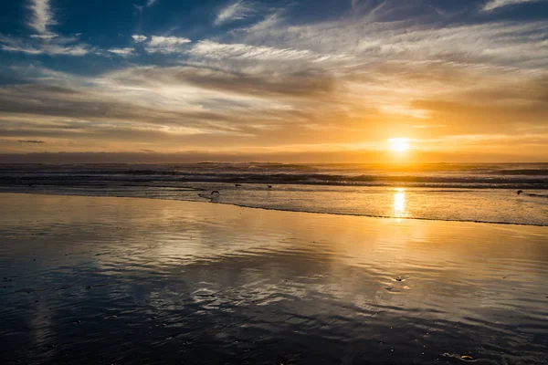 Havsstrand solnedgång — Stockfoto