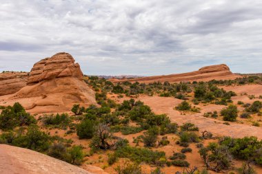 Manzara Arches Ulusal Parkı'nda çöl