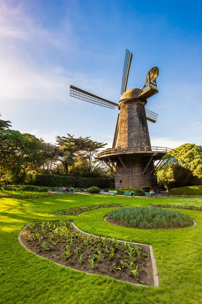 Golden Gate Park windmolen en bloemen — Stockfoto