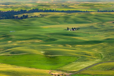 Steptoe butte Devlet Parkı
