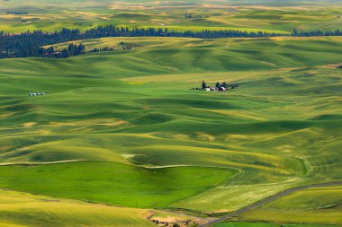 Steptoe Butte State Park clipart