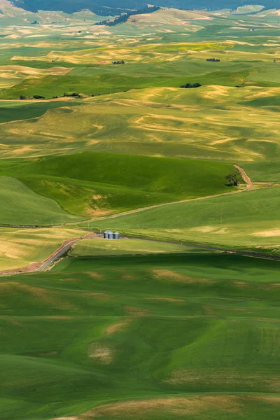 Vista de Steptoe Butte, Palouse Country no leste de Washington — Fotografia de Stock