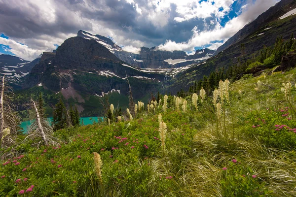 Parco Nazionale del Ghiacciaio nel Montana USA. Bella Valley. Scena M — Foto Stock