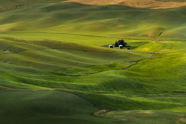 Άποψη του Steptoe Butte, χώρας Palouse στην Ανατολική Ουάσιγκτον — Φωτογραφία Αρχείου