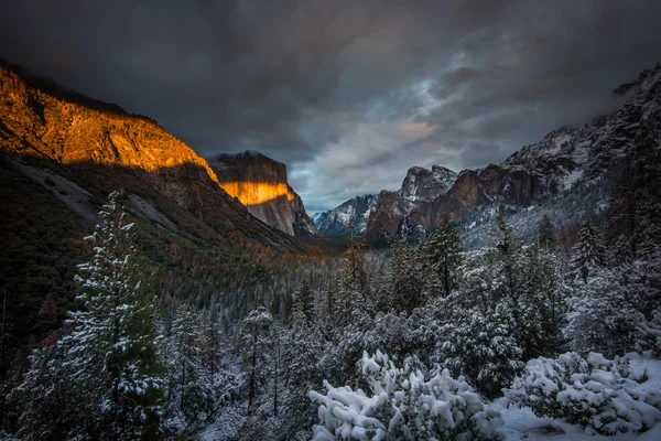 Alagút nézet figyelmen kívül hagyja, Yosemite Nemzeti Park — Stock Fotó