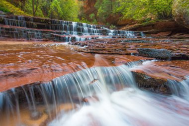 Baş melek Şelalesi, Zion National Park, Utah