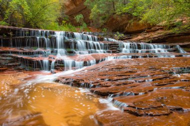Baş melek Şelalesi, Zion National Park, Utah
