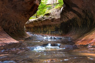 Metro Zion National Park