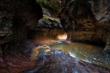 Metro Zion National Park