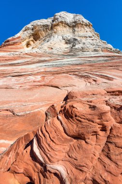 Beyaz Pocker, Arizona