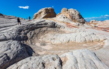 Beyaz Pocker, Arizona