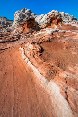 Beyaz Pocker, Arizona