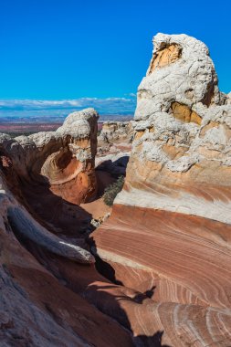 Beyaz Pocker, Arizona