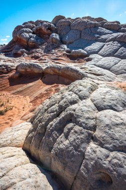 Beyaz Pocker, Arizona