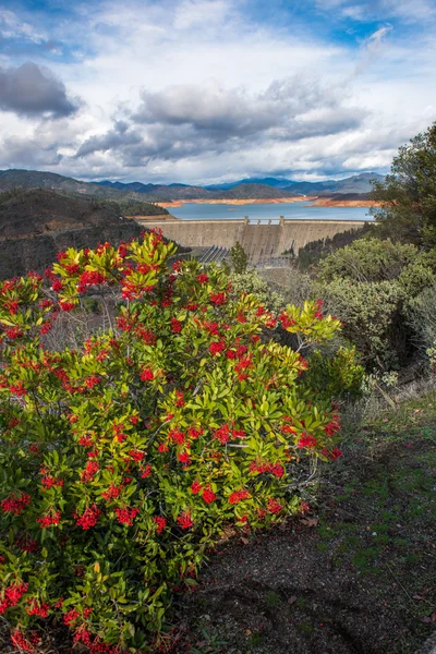 샤스타 댐, 캘리포니아 — 스톡 사진