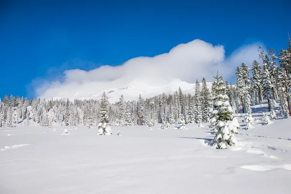 Mt Shasta w zimie — Zdjęcie stockowe