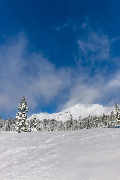 Mt Shasta w zimie — Zdjęcie stockowe