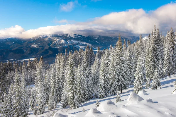 Zimowy krajobraz w Kalifornii — Zdjęcie stockowe