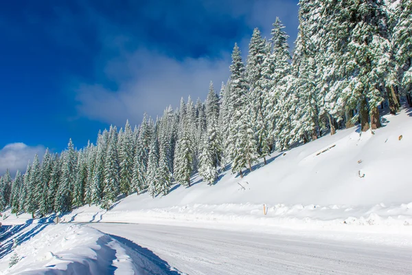 Winterlandschaft in Kalifornien — Stockfoto