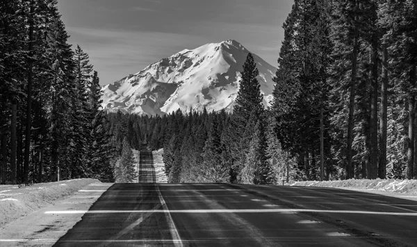 Mt Shasta giden yol