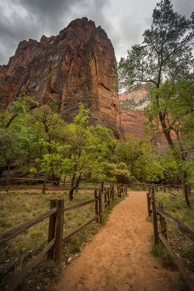 Kolorowy krajobraz z zion park narodowy Utah — Zdjęcie stockowe