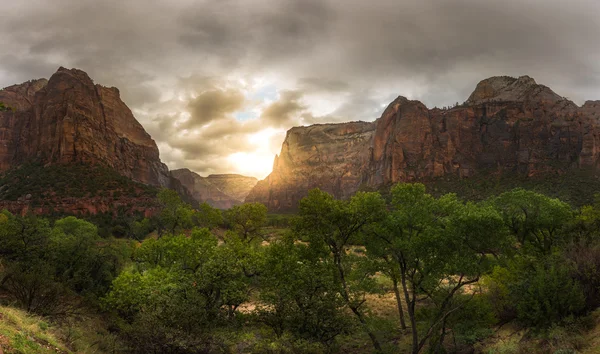 Farbenfrohe Landschaft vom Zion Nationalpark utah — Stockfoto