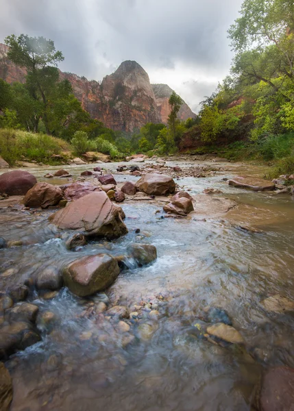 Färgglada landskap från Zion nationalpark utah — Stockfoto