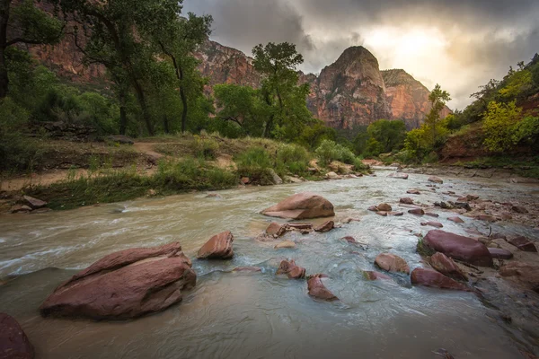 Färgglada landskap från Zion nationalpark utah — Stockfoto