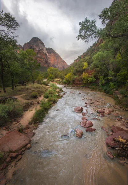 Színes táj a zion nemzeti park utah — Stock Fotó