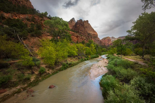 Färgglada landskap från Zion nationalpark utah — Stockfoto