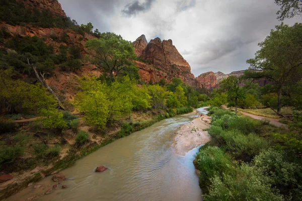 Színes táj a zion nemzeti park utah — Stock Fotó