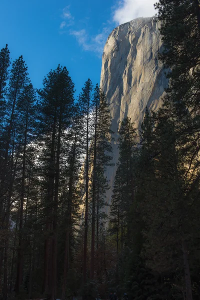 El Capitan, Yosemite National Park — Stockfoto