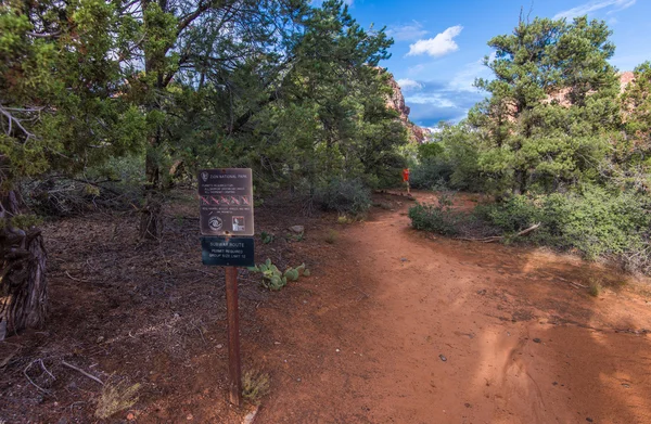 Subway Zion National Park — Stockfoto